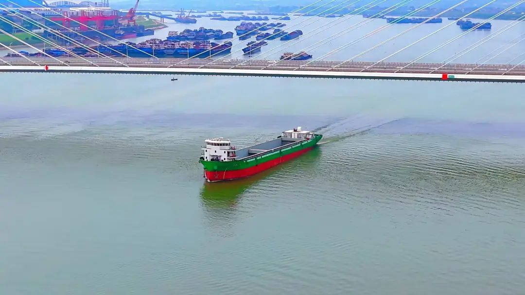 圖片9.png 圖片9.png